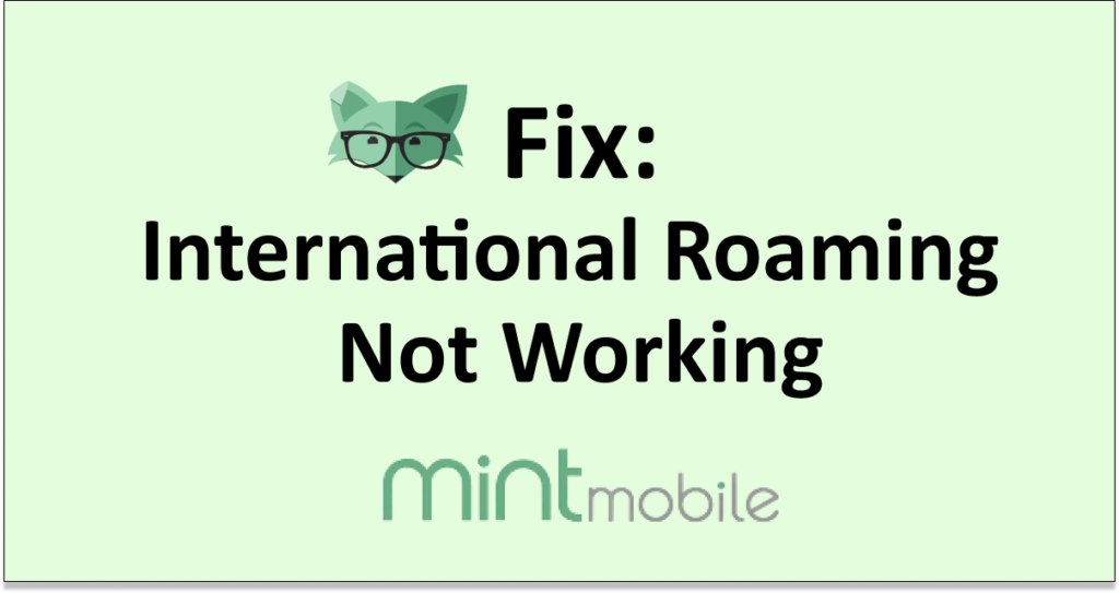 How To Fix Mint Mobile International Roaming Not Working NetworkBuildz