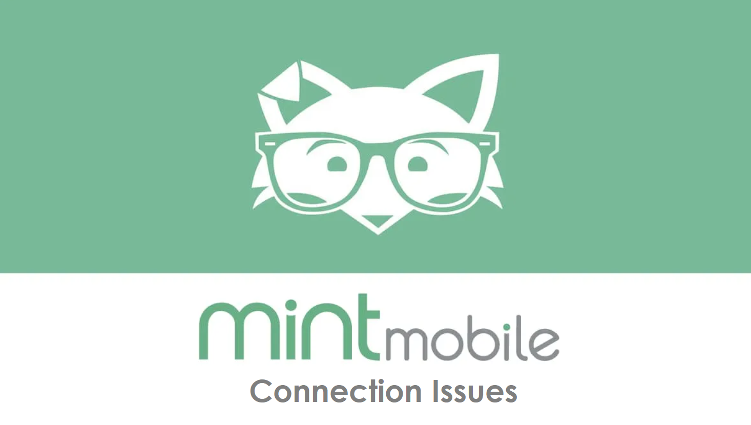 how-to-fix-mint-mobile-connection-issues-networkbuildz