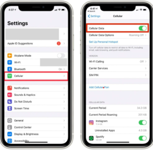 How To Fix Straight Talk Home Internet - Check Mobile Data Settings If Straight Talk Home Internet Not Working E1692873606353 300x294 