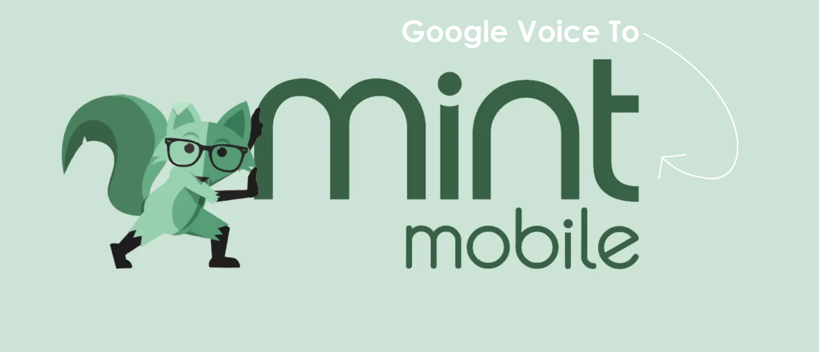 how-to-transfer-google-voice-number-to-mint-mobile-networkbuildz