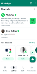 How To Make Money Through WhatsApp Channel - NetworkBuildz