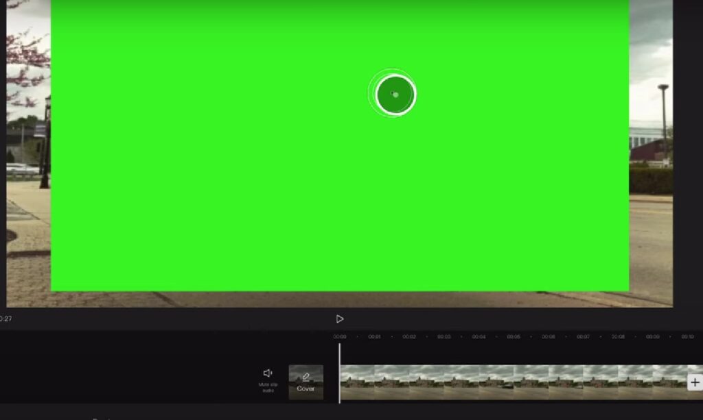 How to remove/change video background【Chroma Key/ Green Screen】 
