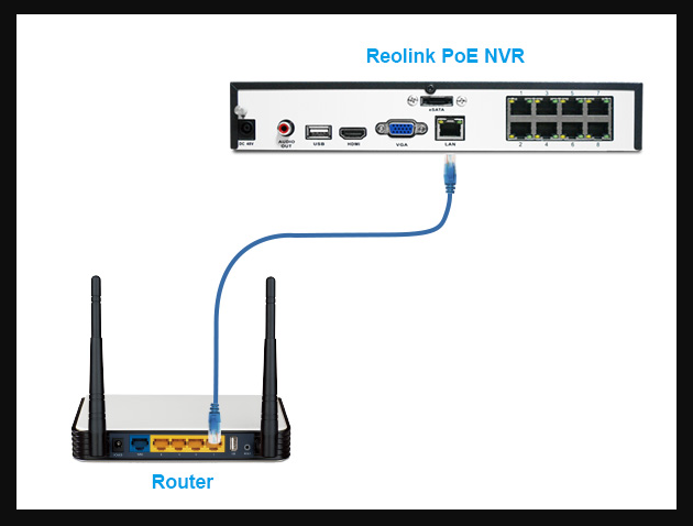 Check LAN Port LEDs to fix Reolink NVR LAN Port Not Working